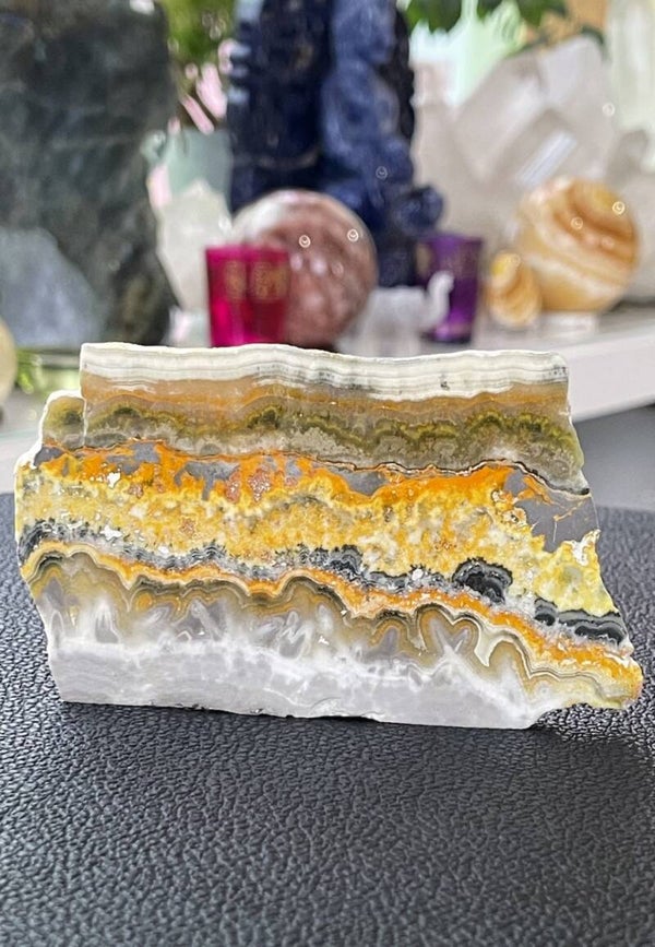 Bumble Bee Jaspis platte schijf, twee zijden gepolijst