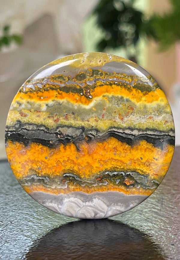 Bumble Bee Jaspis edelsteen cabochon rond, groot