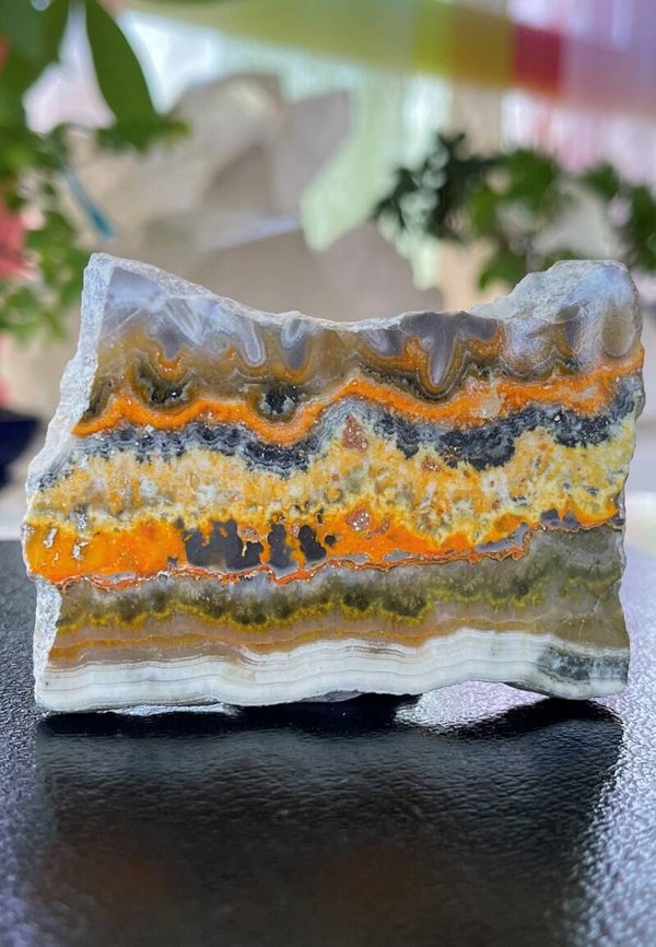 Bumble Bee Jaspis platte schijf, twee zijden gepolijst