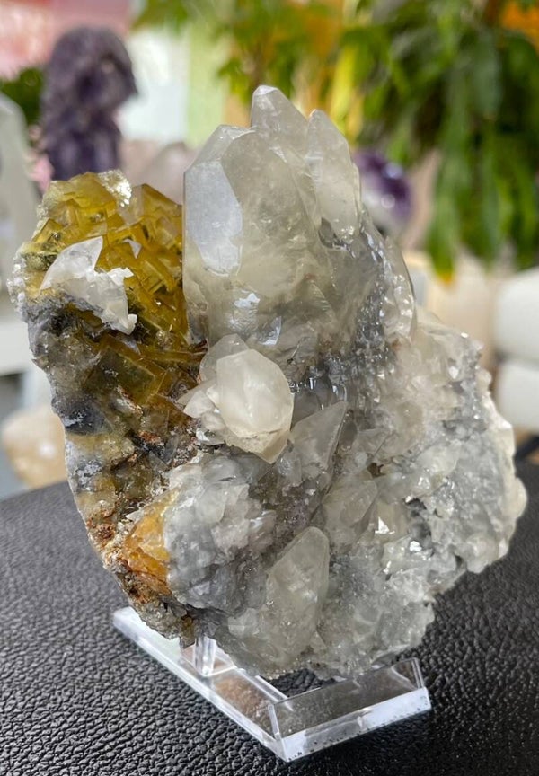 Calciet punten op Gele Fluoriet uit Moscona Asturias Spanje ruw, groot