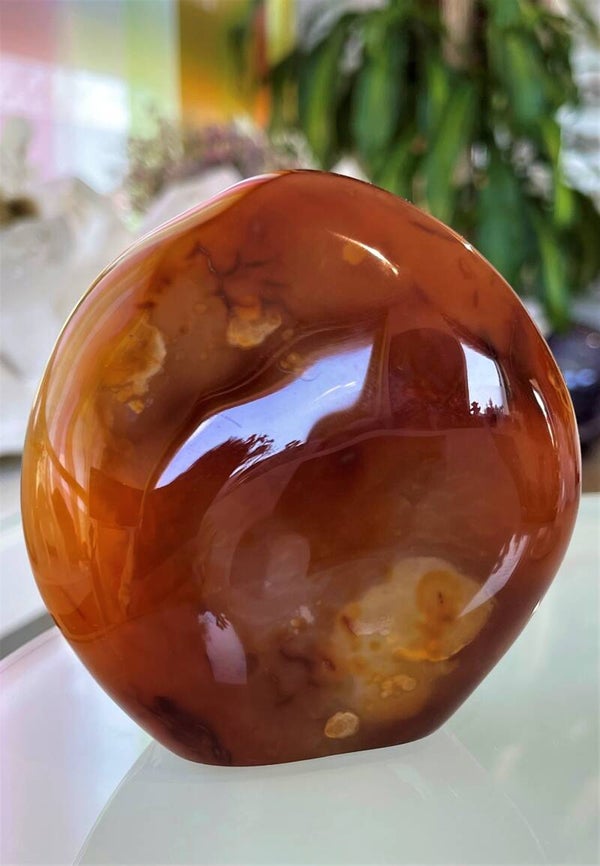 Carneool free form staand