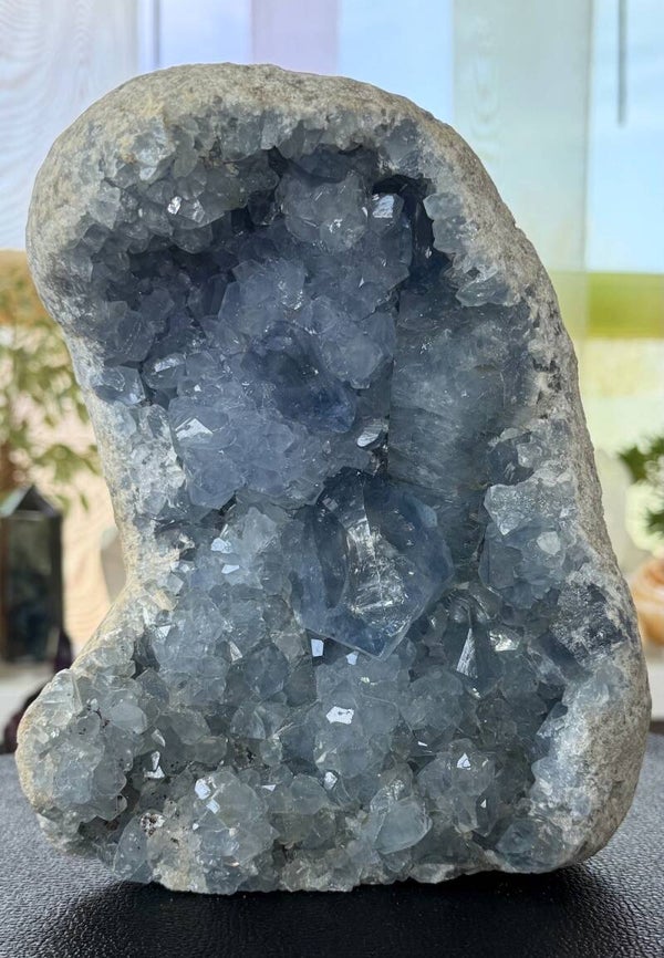 Celestien uit Madagaskar ruw, heel groot