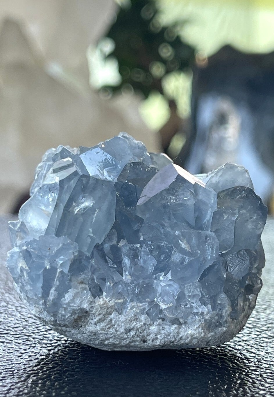 Celestien uit Madagaskar ruw, medium