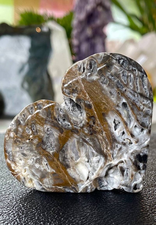 Chalcedoon hart, medium-groot