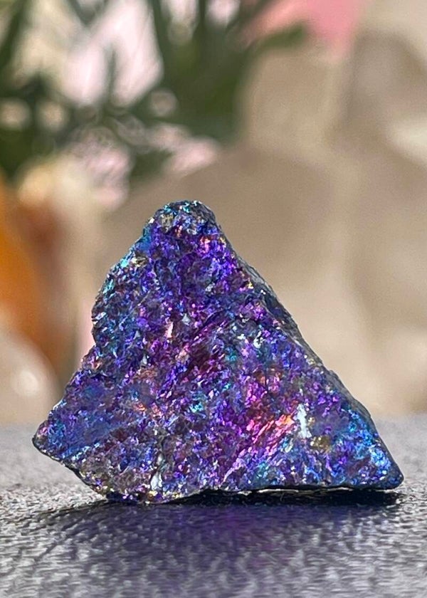 Chalcopyriet uit Mexico ruw, klein