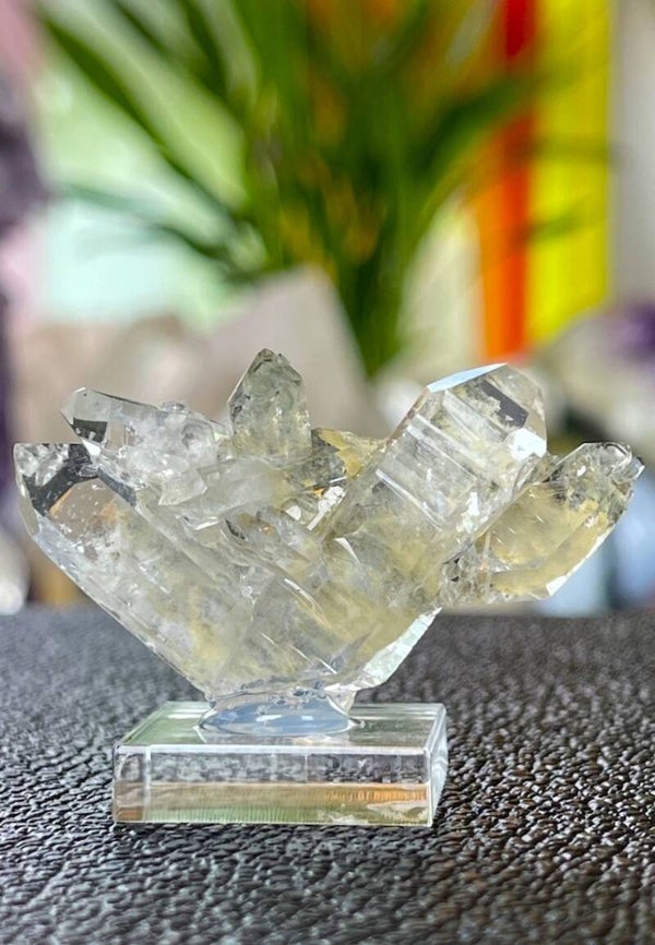 Chloriet en Fadenkwarts clusterpunten plat ruw, klein