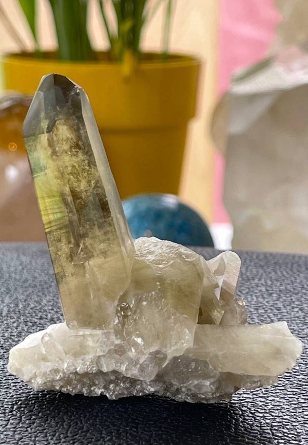 Citrien met Rookkwarts punt, cluster uit Madagaskar ruw, medium