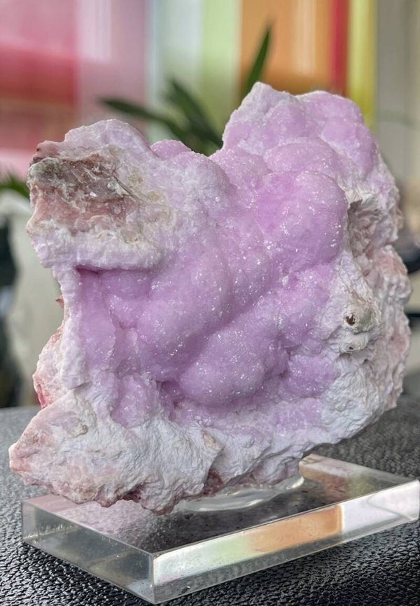 Cobalto Calciet ruw, groot