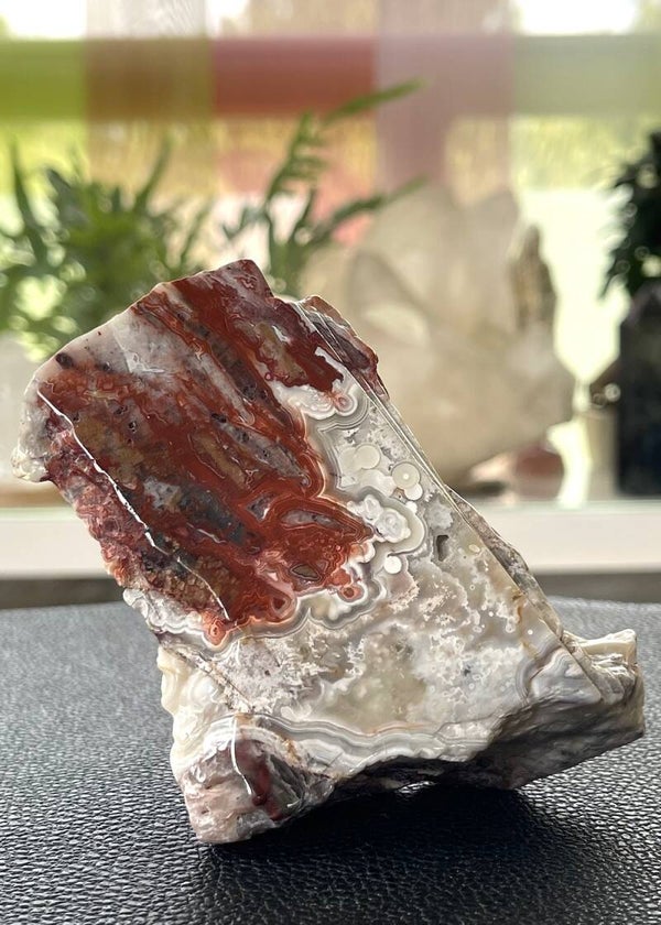 Crazy Lace Agaat free form, medium