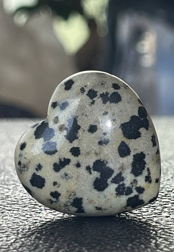 Dalmatiër Jaspis hart, klein