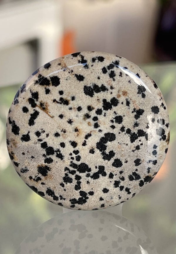 Dalmatiër Jaspis edelsteen cabochon rond, groot