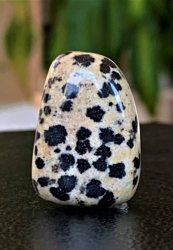 Dalmatiër Jaspis trommelsteen