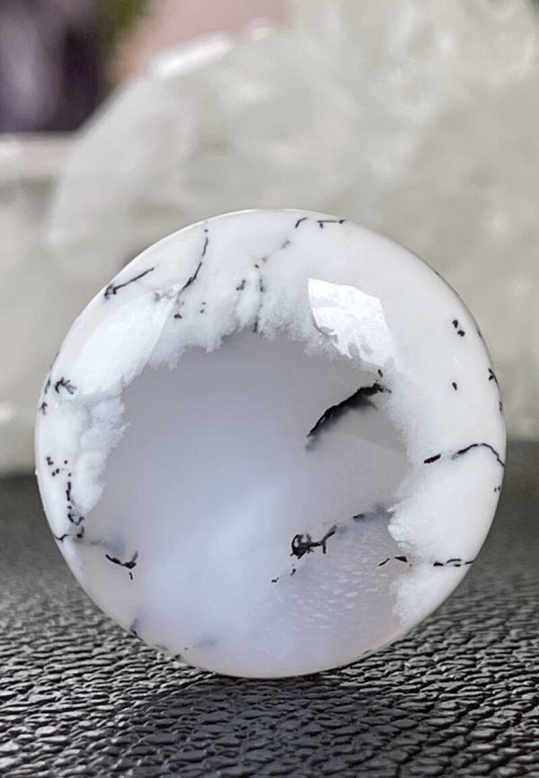 Dendriet Agaat edelsteen cabochon rond, medium