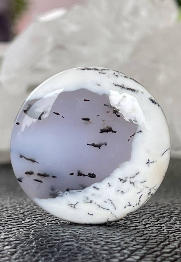 Dendriet Agaat edelsteen cabochon rond, medium