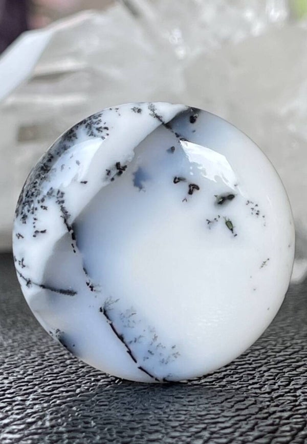 Dendriet Agaat edelsteen cabochon rond, medium-groot