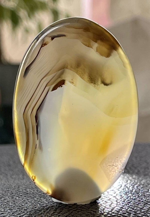 Dendriet Agaat knuffelsteen plat