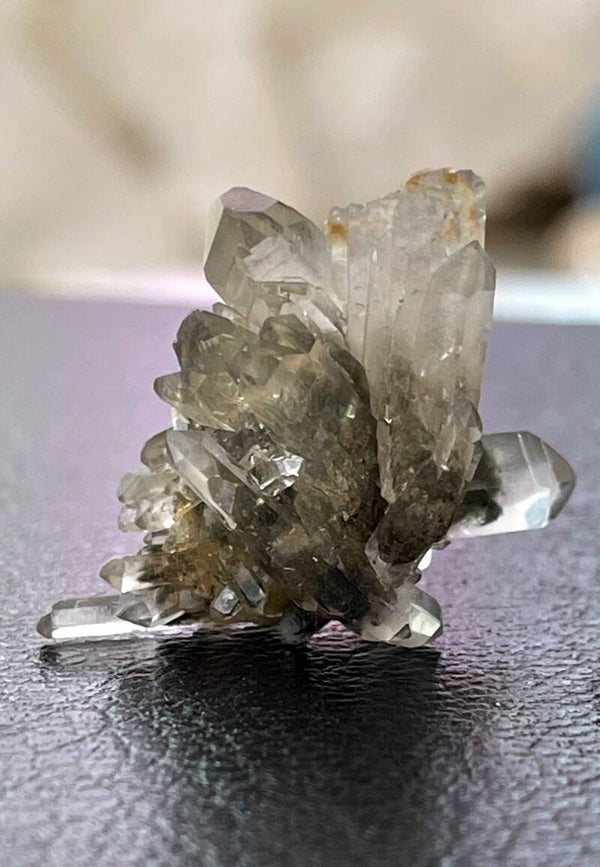 Chloriet in Kwarts cluster ruw, klein