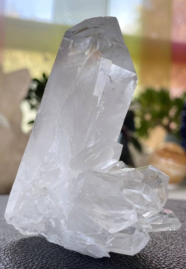 Fadenkwarts met puntjes uit Brazilië, medium