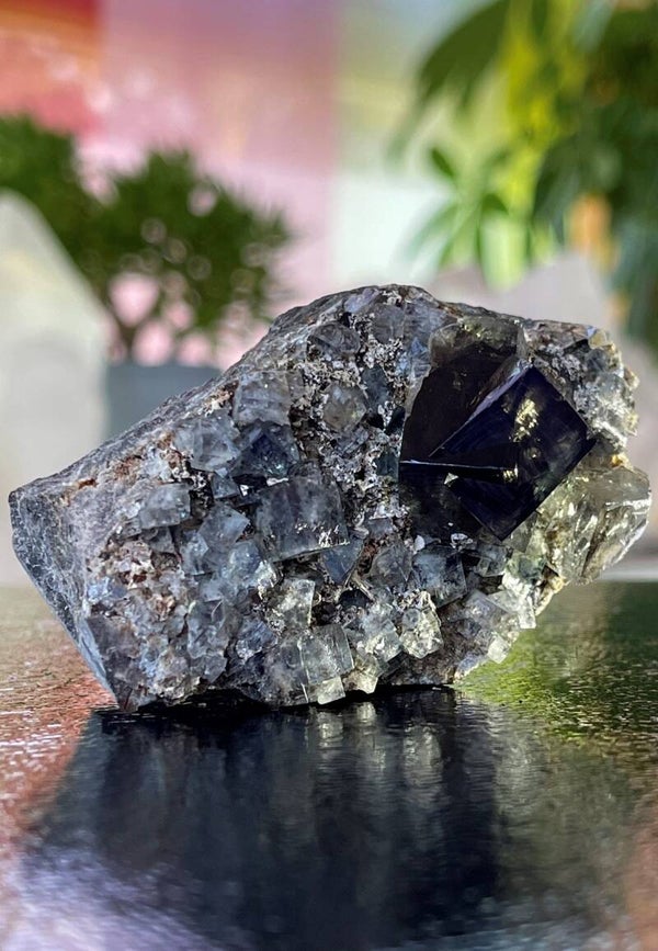 Fluoriet groen naar paars verkleurend uit Engeland ruw, medium