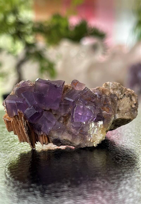 Paarse Fluoriet uit Berbes Asturias Spanje ruw, klein