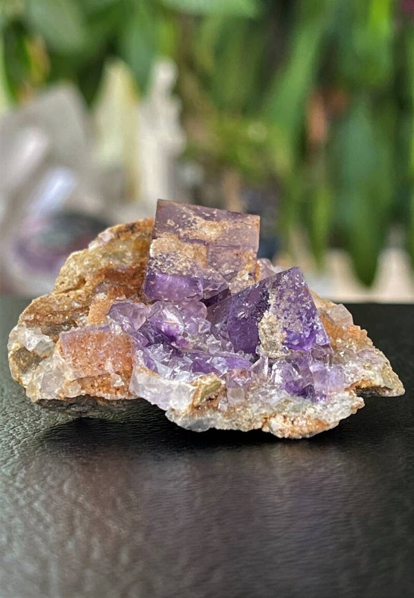 Paarse Fluoriet uit Berbes Asturias Spanje ruw, klein