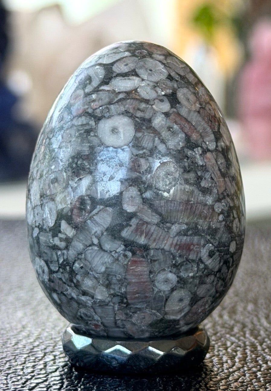 Fossiel Jaspis ei, medium 5cm