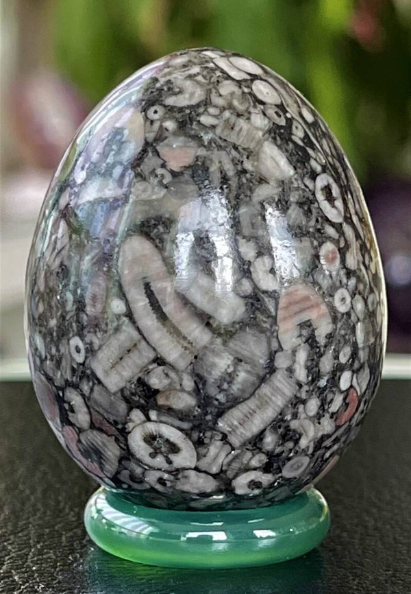 Fossiel Jaspis ei, medium 4,9cm