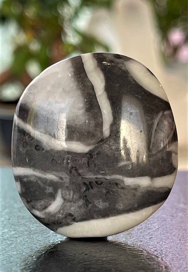 Fossiel Jaspis knuffelsteen plat