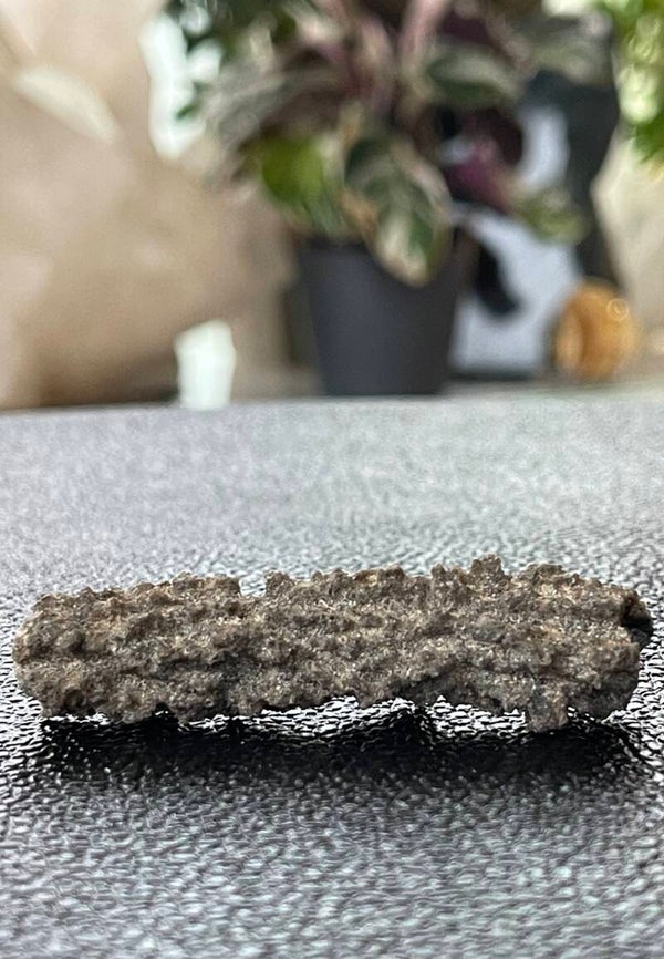 Fulguriet uit Mauritanië ruw, klein