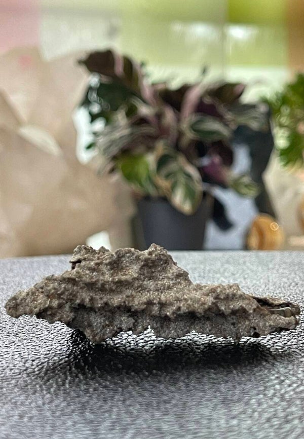 Fulguriet uit Mauritanië ruw, klein
