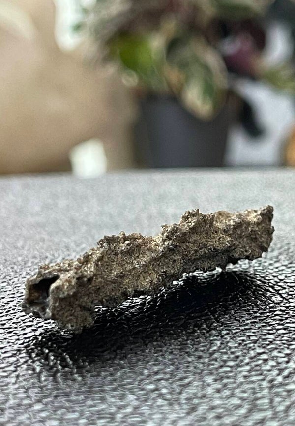 Fulguriet uit Mauritanië ruw, klein
