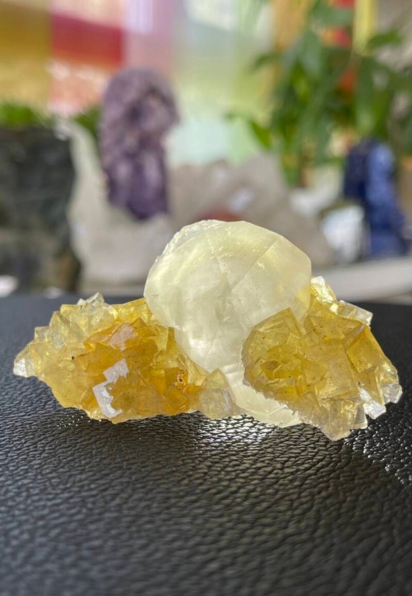 Gele Fluoriet op Calciet uit Moscona Asturias Spanje ruw, medium