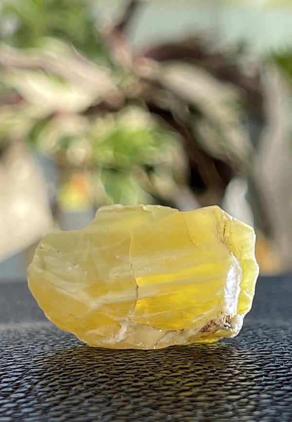 Gele Opaal uit Tanzania ruw, klein
