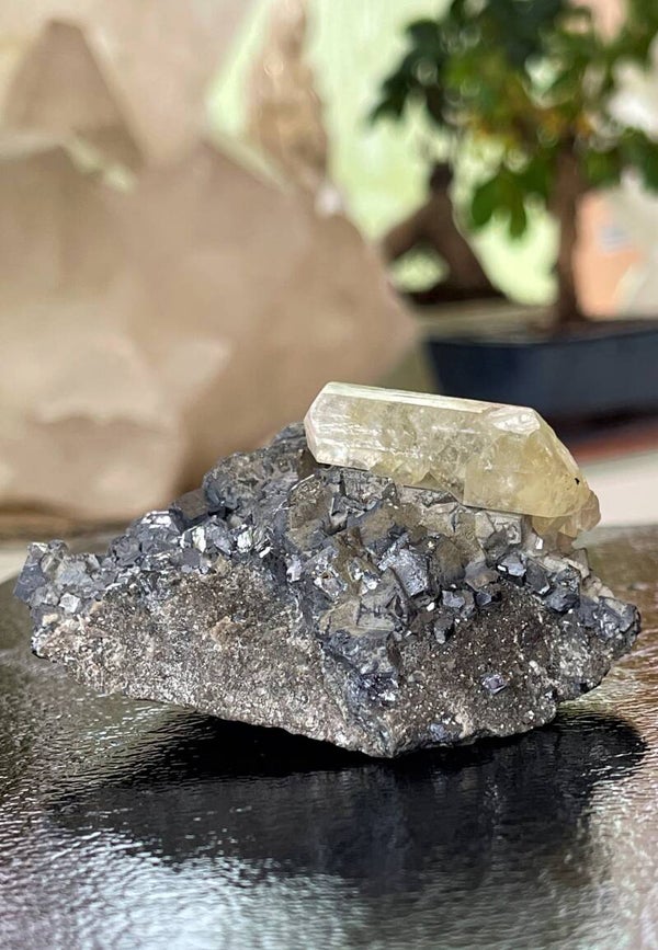 Calciet op Galaniet uit Oostenrijk ruw, medium