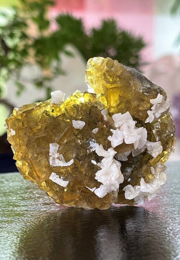 Gele Fluoriet met Dolomiet uit Moscona Asturias Spanje ruw, medium