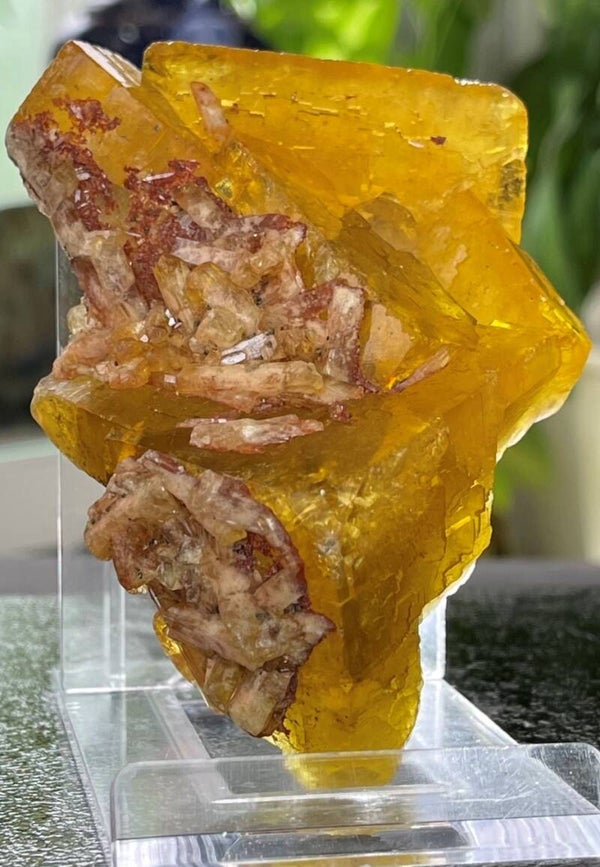 Gele Fluoriet met Bariet uit Frohnau Duitsland ruw, groot