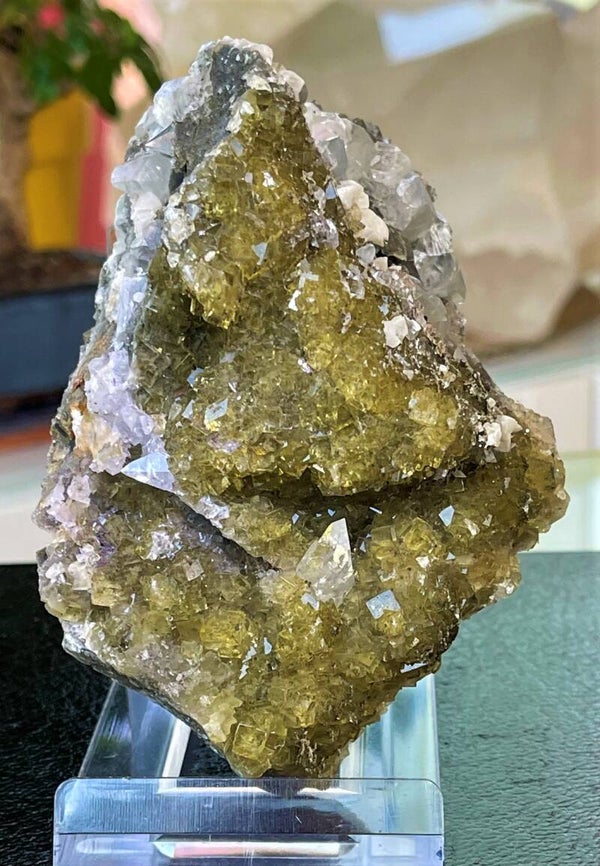 Gele Fluoriet met Dolomiet en Calciet uit Moscona Asturias Spanje ruw, medium