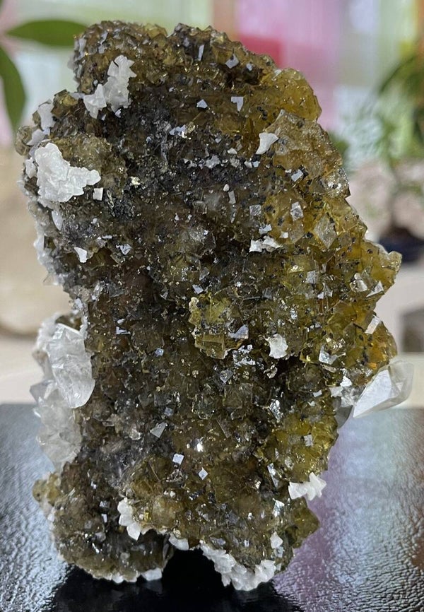 Gele Fluoriet met Dolomiet en Calciet uit Moscona Asturias Spanje ruw, groot