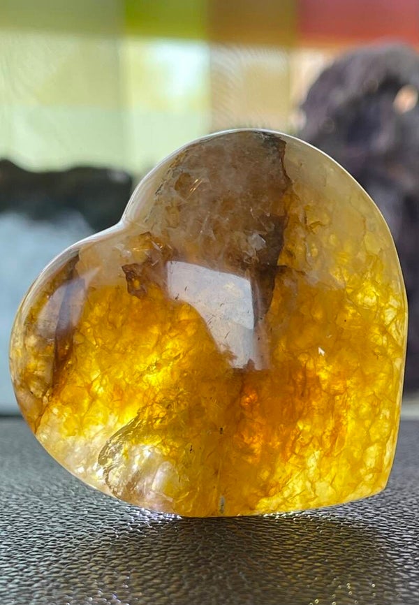 Golden Healer hart, medium-groot