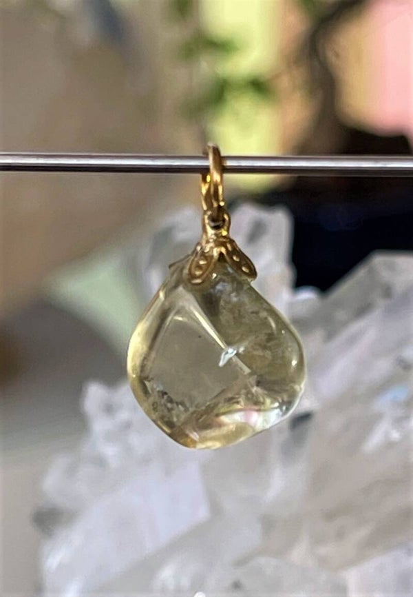 Gouden Labradoriet of Bytowniet hangertje, met veter