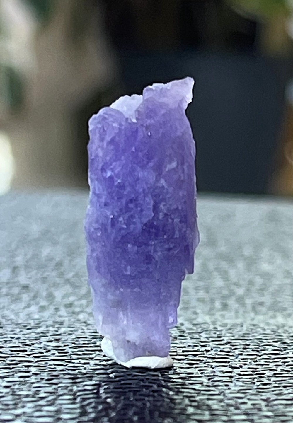 Hackmaniet uit Afghanistan ruw, klein