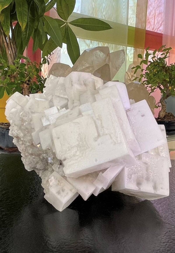 Haliet uit Bolivia ruw, groot