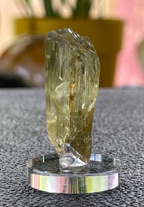 Hiddeniet of gele Kunziet uit Afghanistan ruw, klein