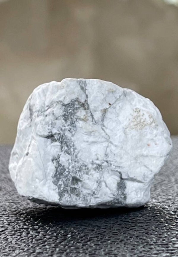 Howliet uit Zuid-Afrika ruw, klein