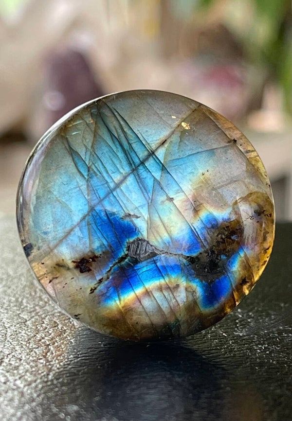 Labradoriet edelsteen cabochon rond, groot