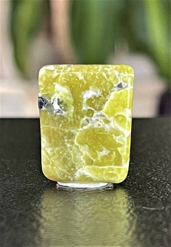 Lizardiet trommelsteen plat, klein