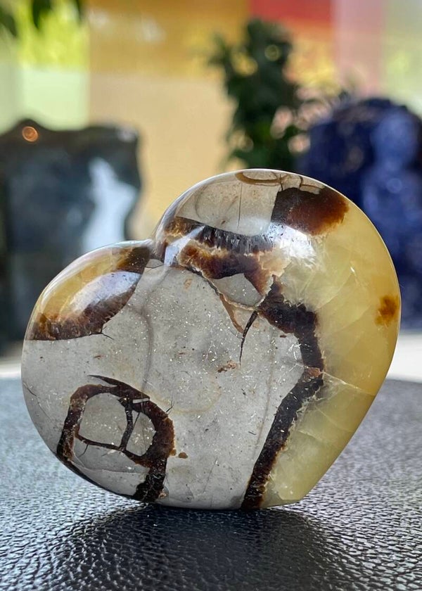 Septarie hart, medium