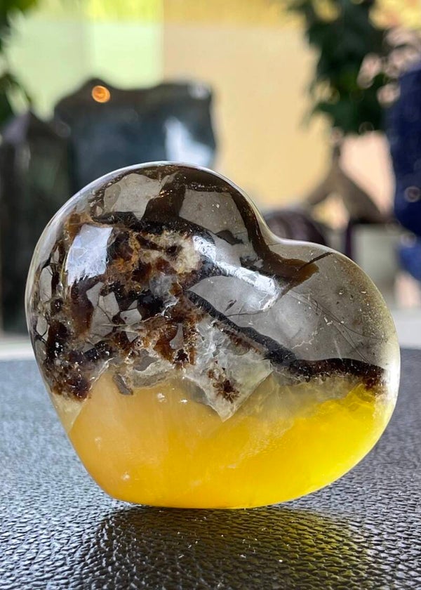 Septarie hart, medium