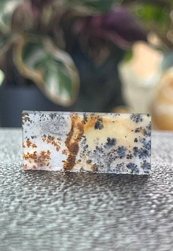 Dendriet Agaat edelsteen uit Rusland cabochon rechthoekig, medium