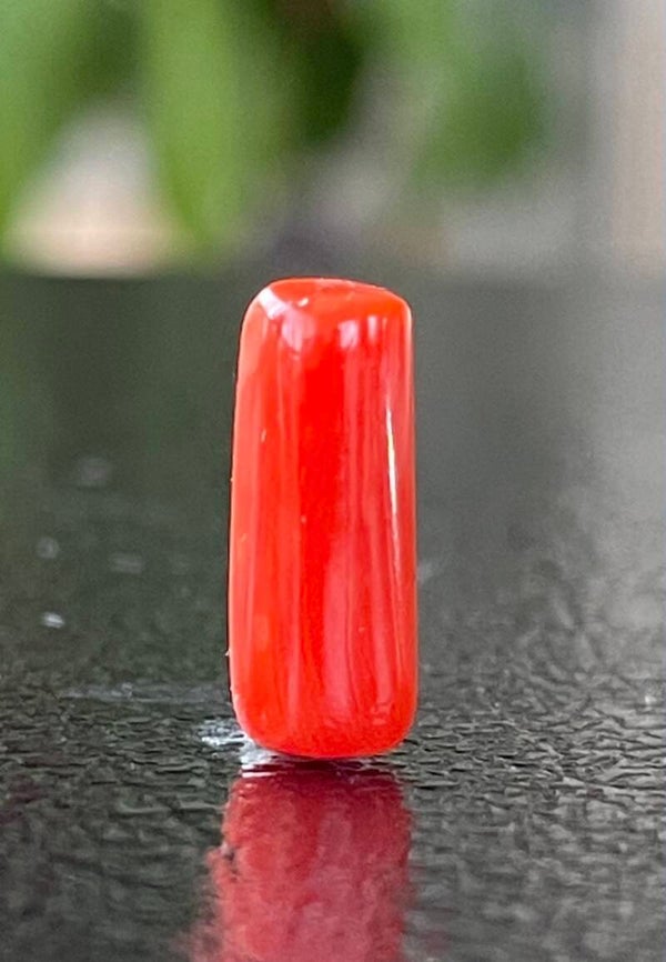 Koraal edelsteen cabochon staafje, klein